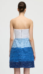 Sakura Denim Mini Dress