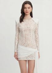Sequin Embellished Lace Mini Dress