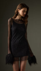 Sheer Mini Dress in Black