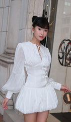 Solid Lantern Sleeve Mini Dress