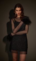 Sheer Mini Dress in Black