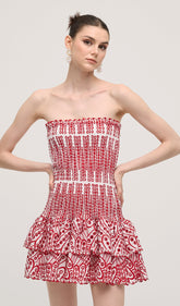 Embroidered Eyelet Cotton Mini Dress In Red