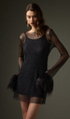 Sheer Mini Dress in Black