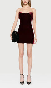 Strapless Velvet & Satin Mini Dress