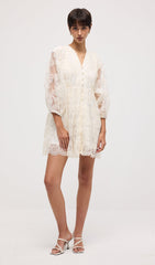 V Neck Embroidery Lace Mini Dress