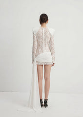 Sequin Embellished Lace Mini Dress