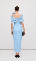 Shawl Strapless Collar Satin Maxi Dress