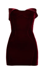 Strapless Velvet & Satin Mini Dress