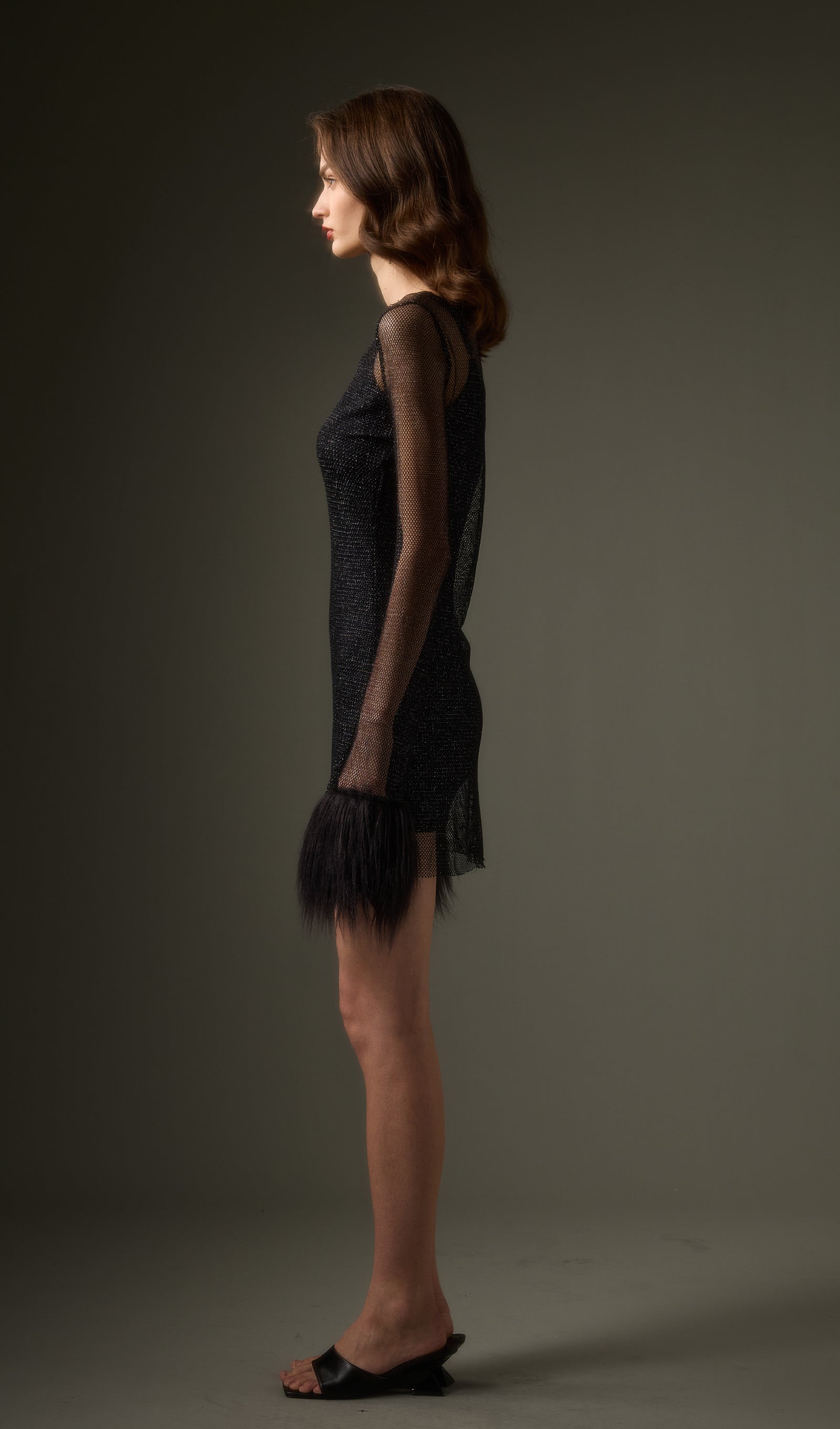 Sheer  Mini Dress in Black