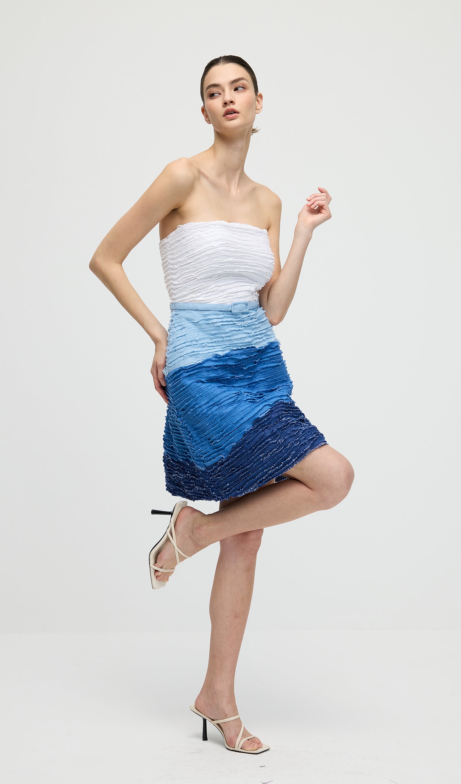 Sakura Denim Mini Dress