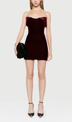 Strapless Velvet & Satin Mini Dress